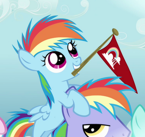 File:Rainbow Dash Filly S3E12.png