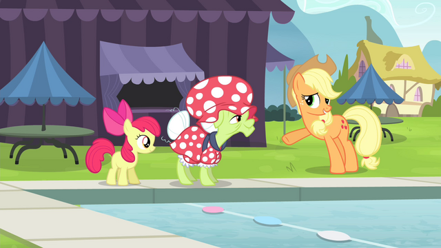 File:Applejack "The most important thing is" S4E20.png
