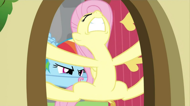 File:Rainbow Dash struggling Fluttershy door 2 S2E21.png