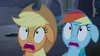 S04E03 Applejack i Rainbow Dash boją się.png