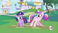 Cadance3.png