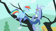 Rainbow Dash em frente de Discórdia T4E11.png