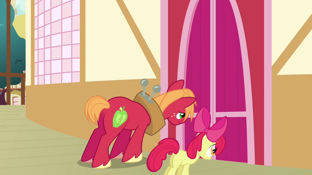 File:Big McIntosh and Apple Bloom closes the door S3E03.png