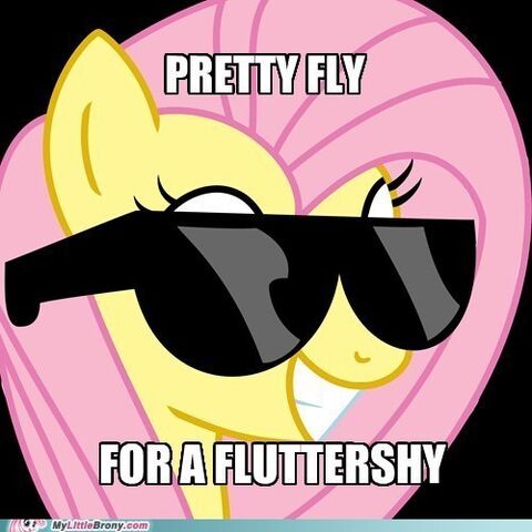 File:FANMADE Fluttershy Pretty Fly.jpg