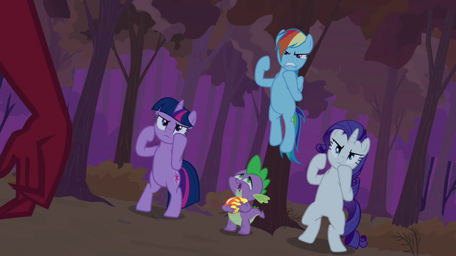 File:Twilight, Rarity and Rainbow Dash in fighting stance S02E21.png
