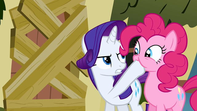 File:Rarity be quiet! S2E19.png