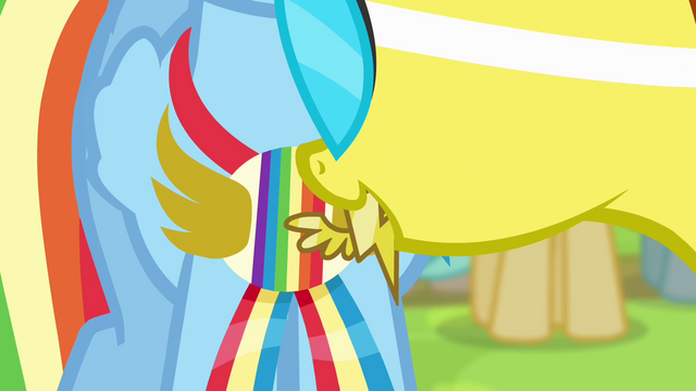 File:Spitfire gives Wonderbolt pin to Rainbow S4E10.png