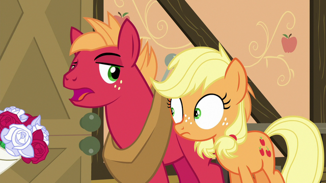 File:Big McIntosh "and they brought flowers!" S6E23.png