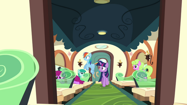 File:Twilight and Rainbow Dash on the train S03E11.png