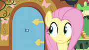 Fluttershy olha para a porta T4E16