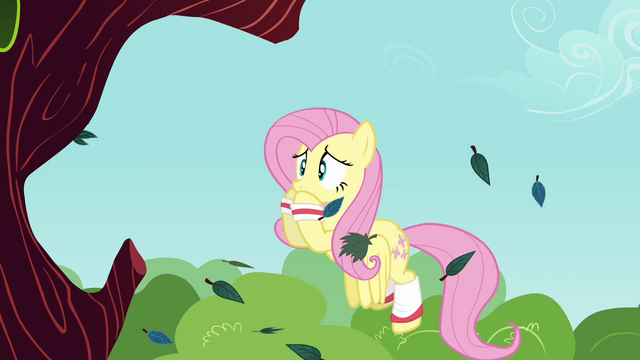 File:Fluttershy worried S2E22.png