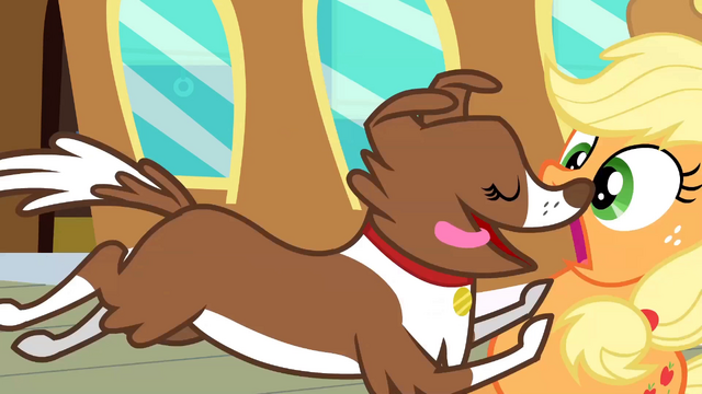 File:Winona tackles Applejack S2E14.png