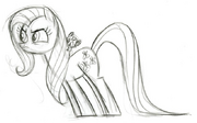 Fluttershy szkic.png