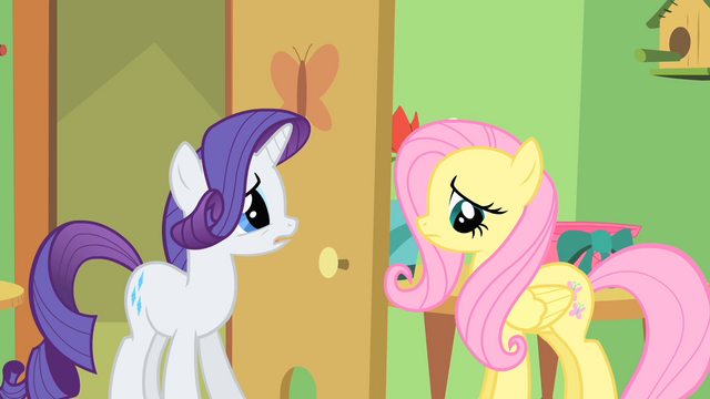 File:Rarity and Fluttershy S1E20.png