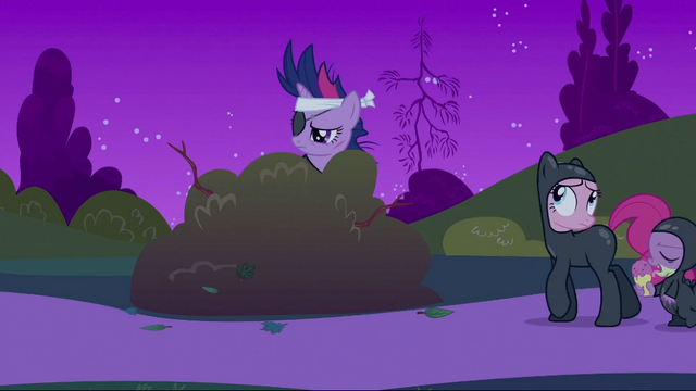 File:Twilight bush S2E20.png