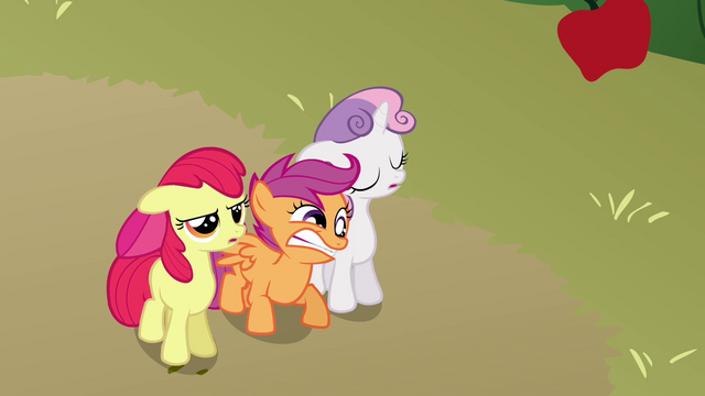 File:Scootaloo furious S3E04.png