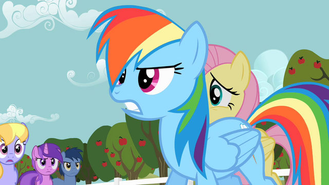 File:Rainbow Dash frustrated S02E15.png
