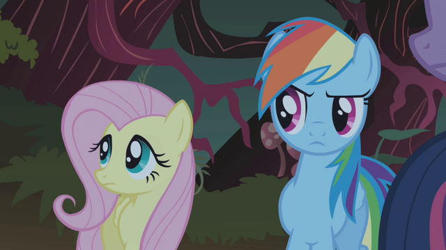 File:Fluttershy and Rainbow Dash S01E02.png