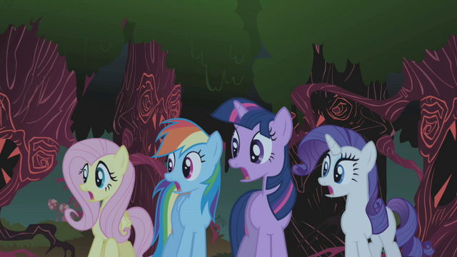 File:Fluttershy, Rainbow Dash, Twilight and Rarity gasp S01E02.png