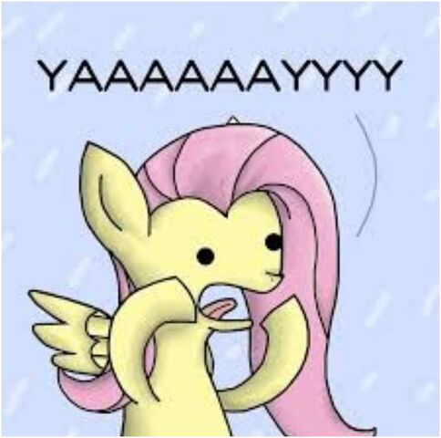 File:FANMADE Fluttershy seal meme.jpg