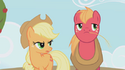 640px-Applejack -are you saying- S01E04.png