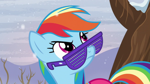 File:Rainbow sees snow S5E5.png