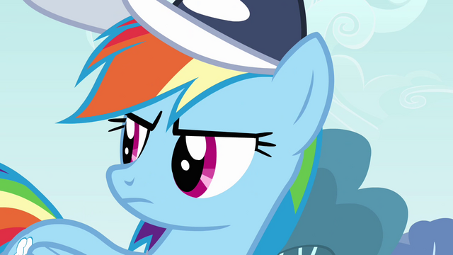 File:Rainbow Dash knows S2E22.png