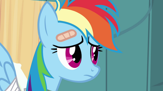 File:Rainbow Dash sad S02E16.png