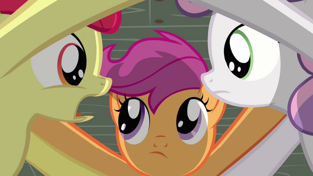 File:Apple Bloom 'Thought she'd be more impressed' S3E04.png