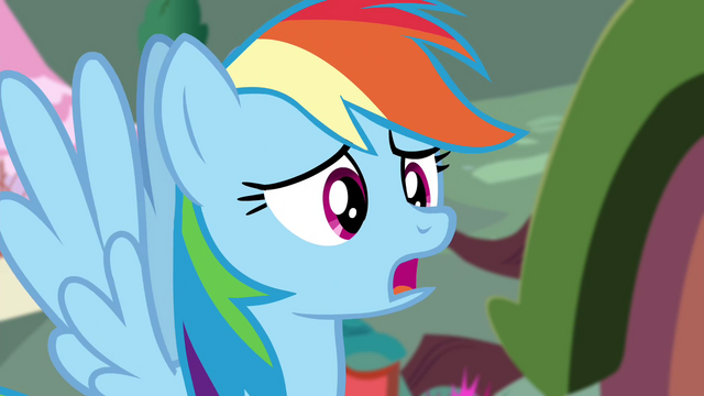 File:Rainbow apologizes S4E21.png
