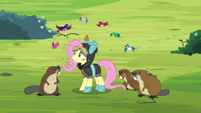 File:Animals surrounding Fluttershy S3E05.png