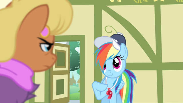 File:Rainbow Dash understands S4E05.png