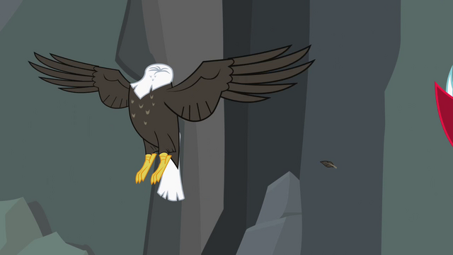 File:Bald eagle headless... S2E7.png