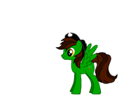 FANMADE OakyHollowsBlog