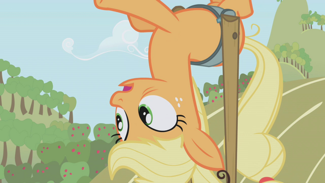 File:Applejack huh S01E04.png
