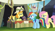Daring Do collector -that's not worth anything to me- S4E22.png