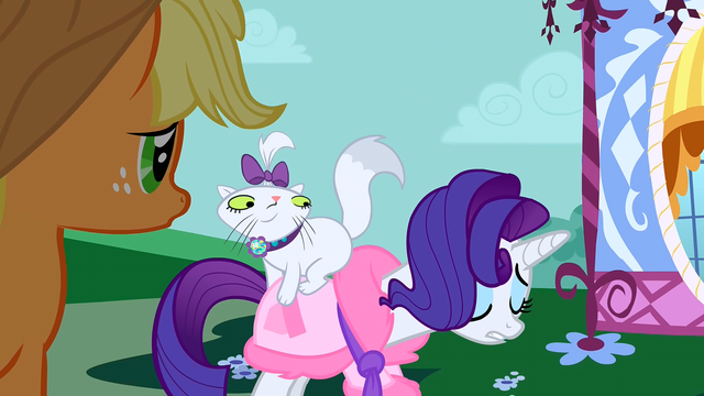 File:Rarity still ruined S1E14.png