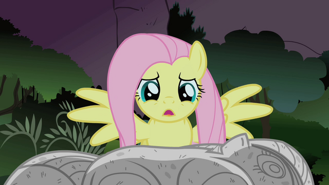 File:Fluttershy looks at Twilight's rock solid body S1E17.png