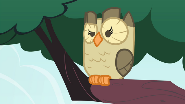 File:Owlowiscious eyebrow raise S4E23.png