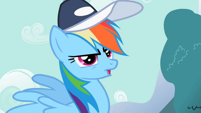 File:Rainbow Dash "No" S2E07.png