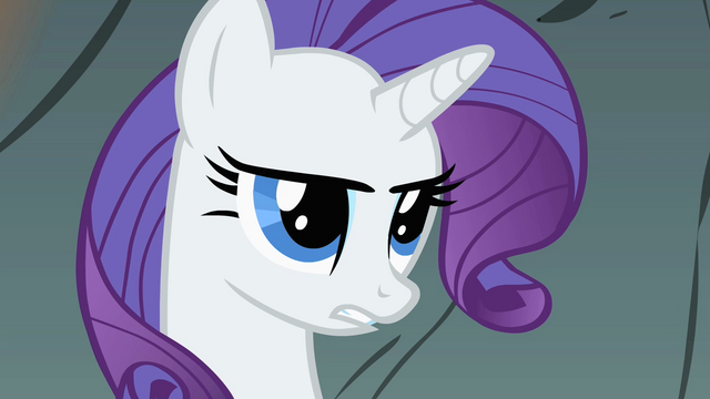 File:Rarity dissapproves S01E19.png