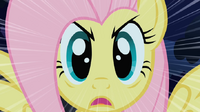 710px-Fluttershy Stare S01E17.png
