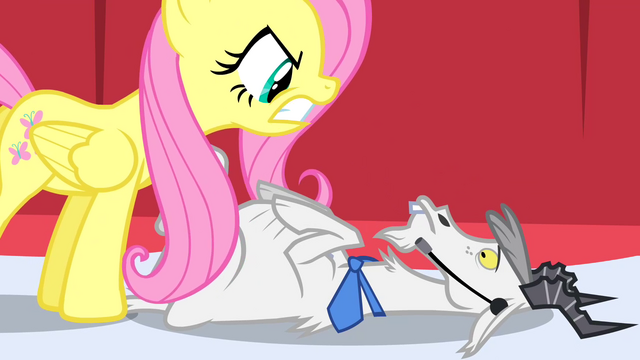 File:Fluttershy attempting to be assertive against the goat S02E19.png