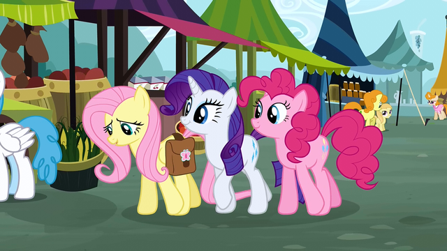File:Rarity & Pinkie Pie Always right S2E19.png