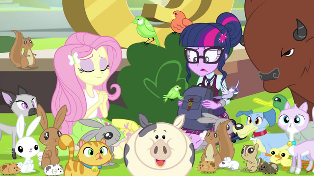 File:Fluttershy has so many animals EG3b.png