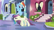 Rainbow Dash looking at local pony S3E1.png