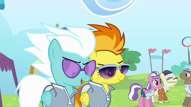 File:Fleetfoot 'you grew up in Cloudsdale' S4E10.png