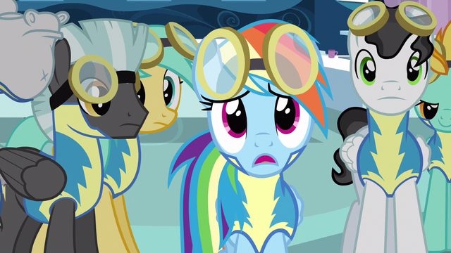 File:Rainbow Dash disbelief S3E7.png
