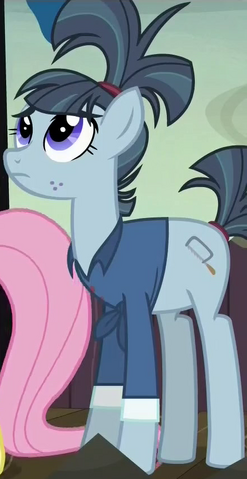 File:Hacksaw McColt ID S5E23.png