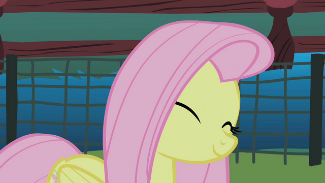 File:Fluttershy agrees S01E17.png